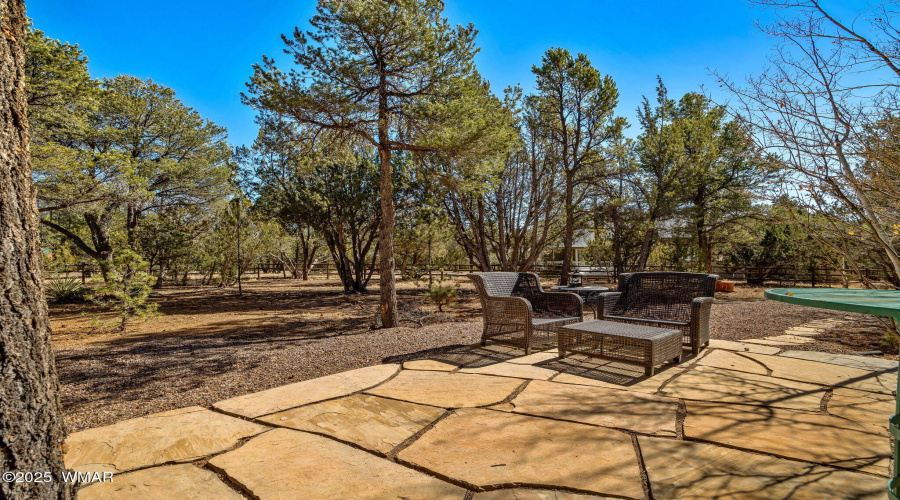 2337PumaCir-HeberOvergaard-AZ-38