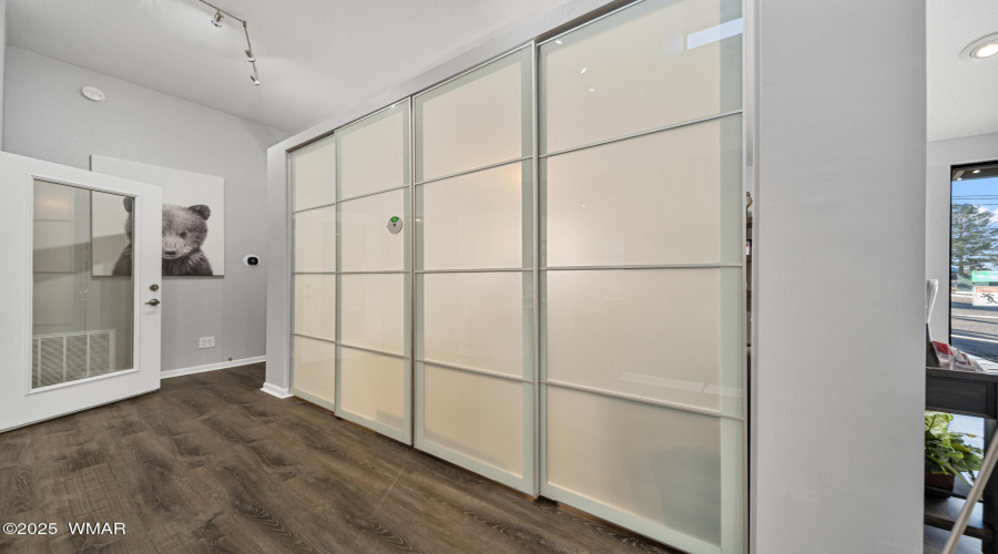 Glass Privacy Doors