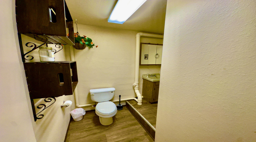 BASEMENT BATHROOM