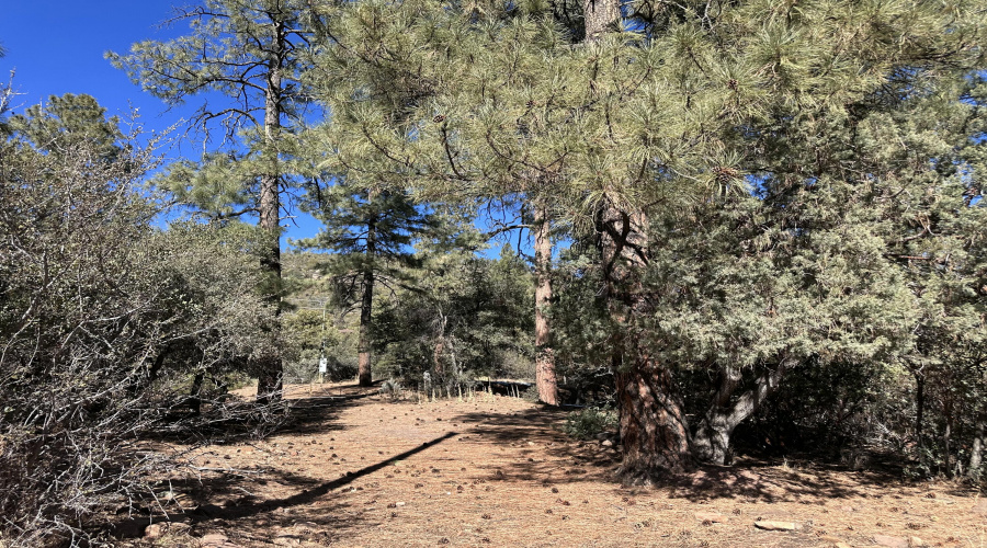 ENTRANCE TO BUFFER LOT