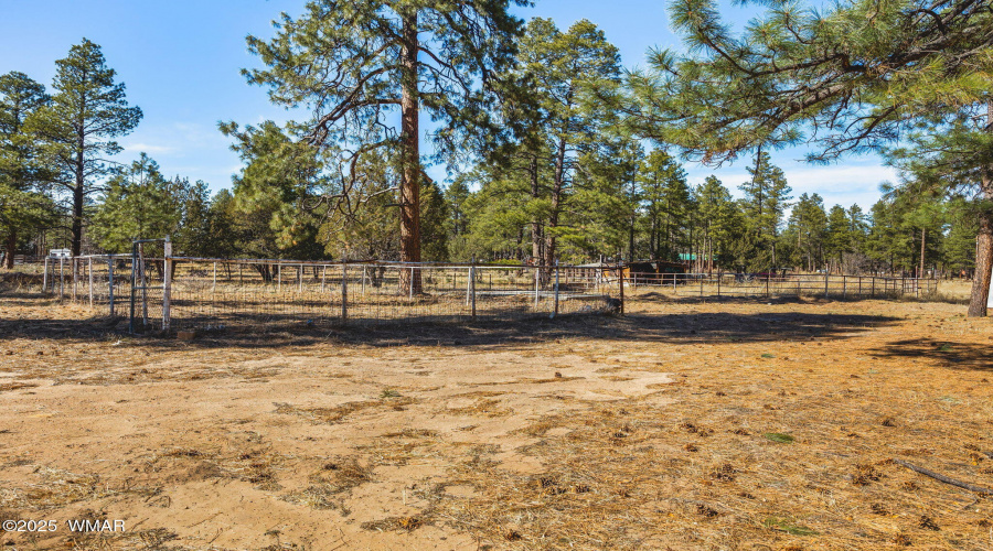 2136-4WheelRd-HeberOvergaard-AZ-27