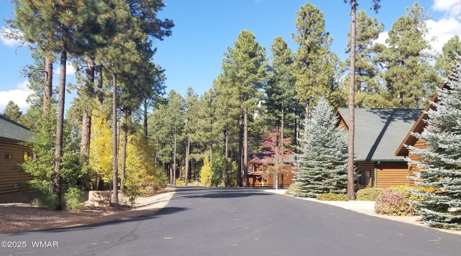 fall ride into the neighborhood