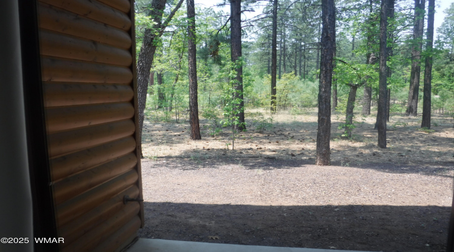 Cabin in Pinetop