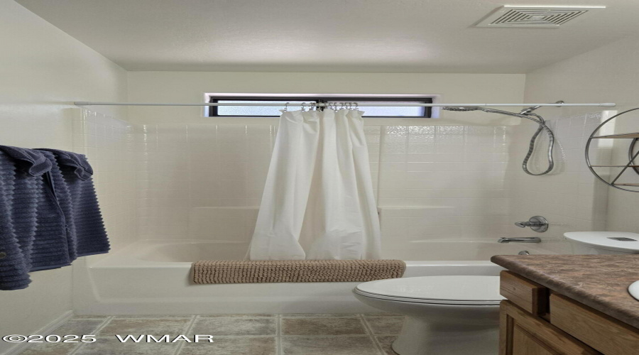 guest bath downstairs