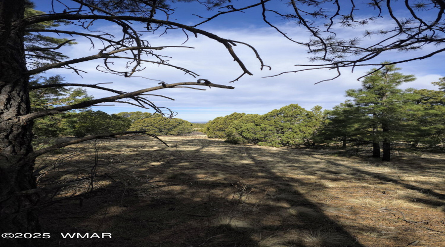 Lot 8 Red Cabin Ranch 17