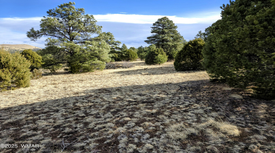 Lot 8 Red Cabin Ranch 5