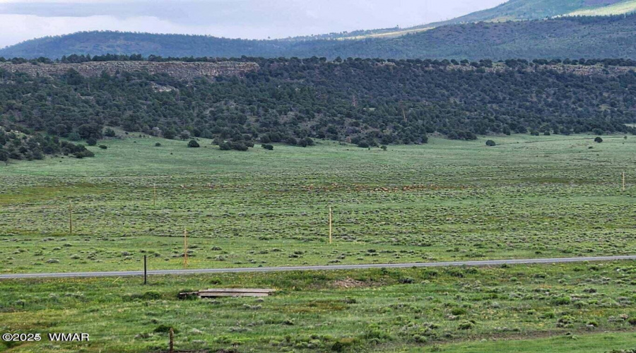 ViewwestElk