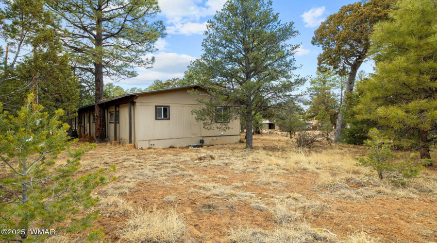 2193LoboTrail-Heber-AZ-23