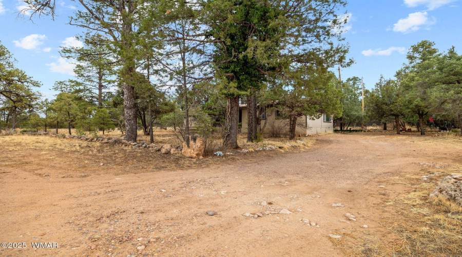 2193LoboTrail-Heber-AZ-1