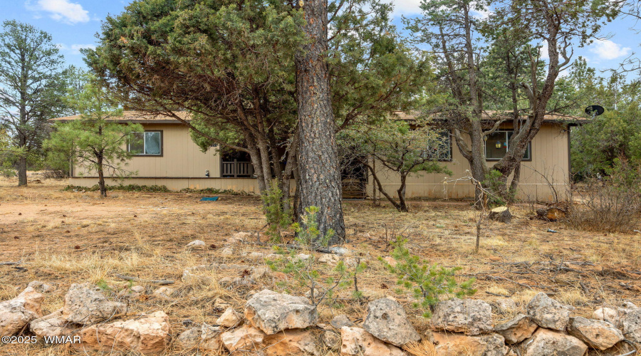 2193LoboTrail-Heber-AZ-2