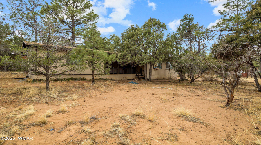 2193LoboTrail-Heber-AZ-3