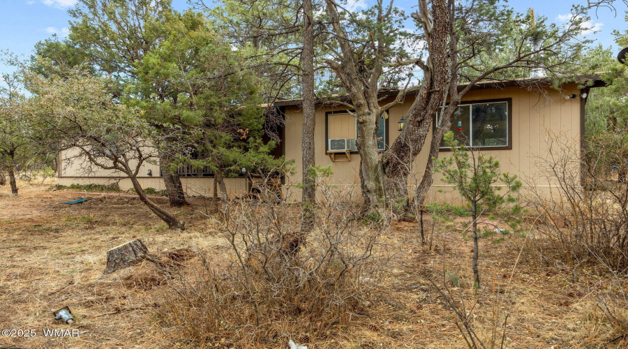 2193LoboTrail-Heber-AZ-4