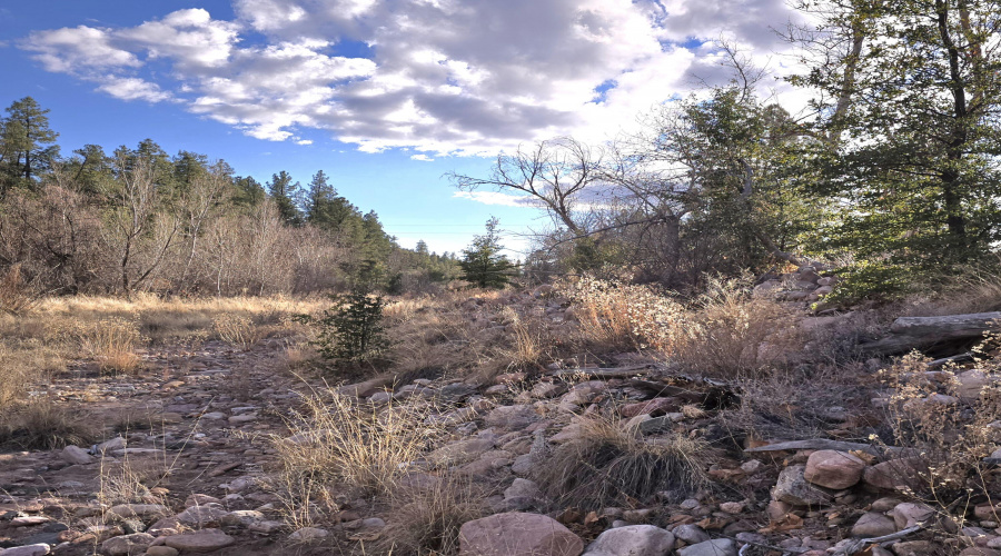 Cherry Creek lkg South