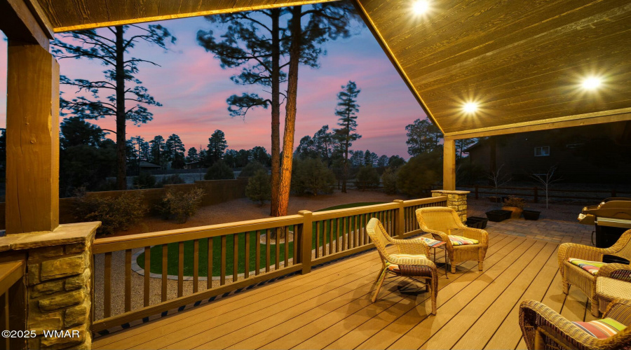 Expansive Back Deck