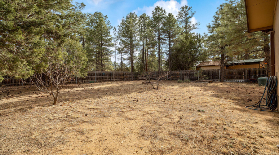 2051LumberValleyRd-Heber-AZ-23