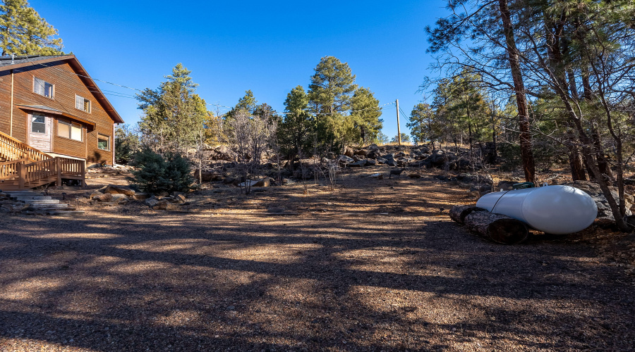 Pine Shawdow-2