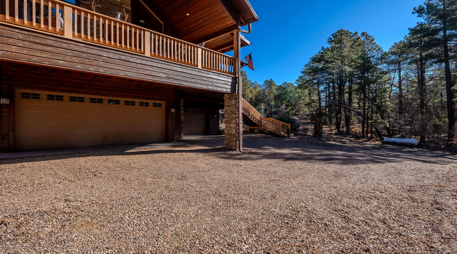 Pine Shawdow-4