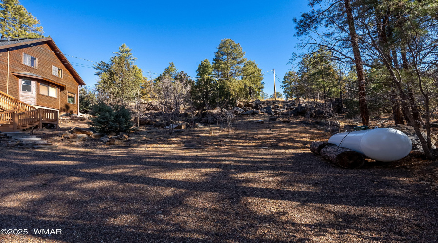 Pine Shawdow-2