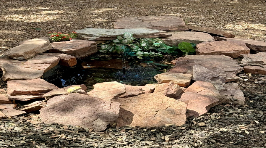 Pond