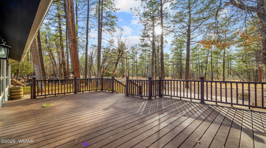 548SAdairSpringsLn-Pinetop-AZ-37