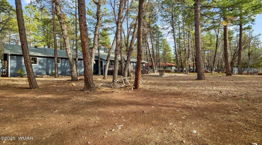 548SAdairSpringsLn-Pinetop-AZ-44