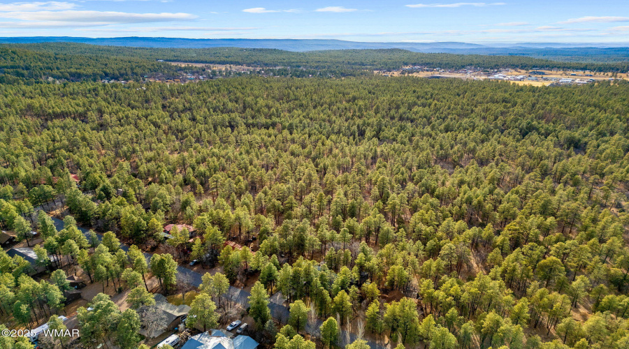 548SAdairSpringsLn-Pinetop-AZ-46