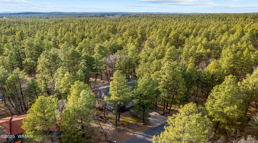 548SAdairSpringsLn-Pinetop-AZ-48