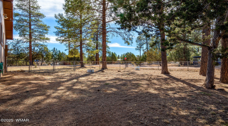 2954PineRimRd-Heber-AZ-27