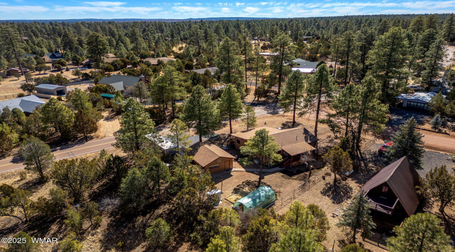 2954PineRimRd-Heber-AZ-32