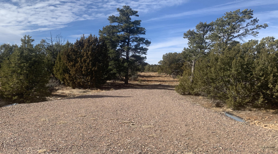 Long Driveway