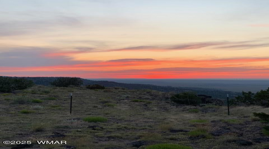 IMG_0325