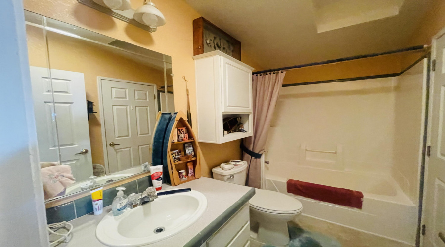 Hall bath