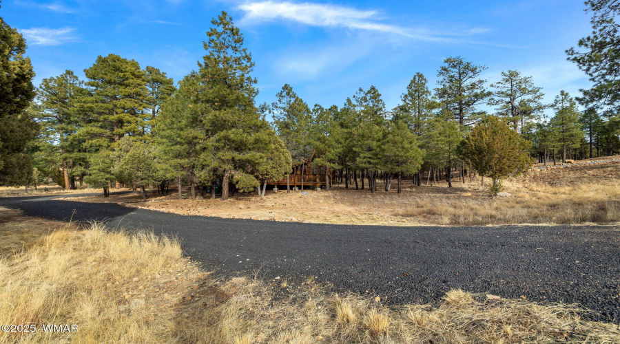 1468LowMountainRd-Heber-AZ-25