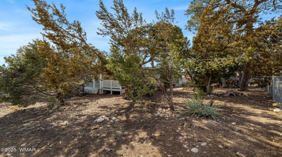 3498WildflowerDrive-Heber-5