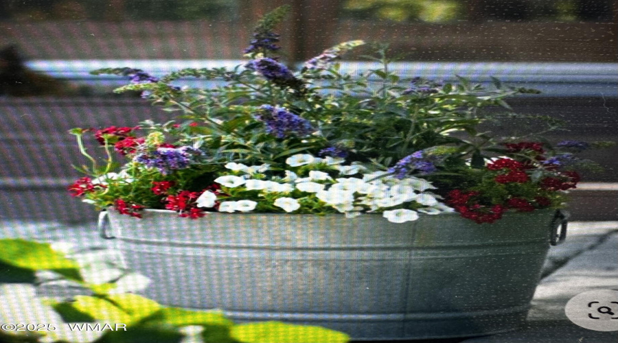 SUMMER TIME PORCH FLOWERS