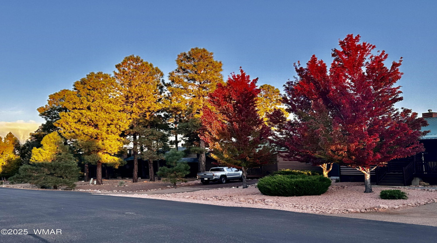 FALL COLORS AT THE RANCH