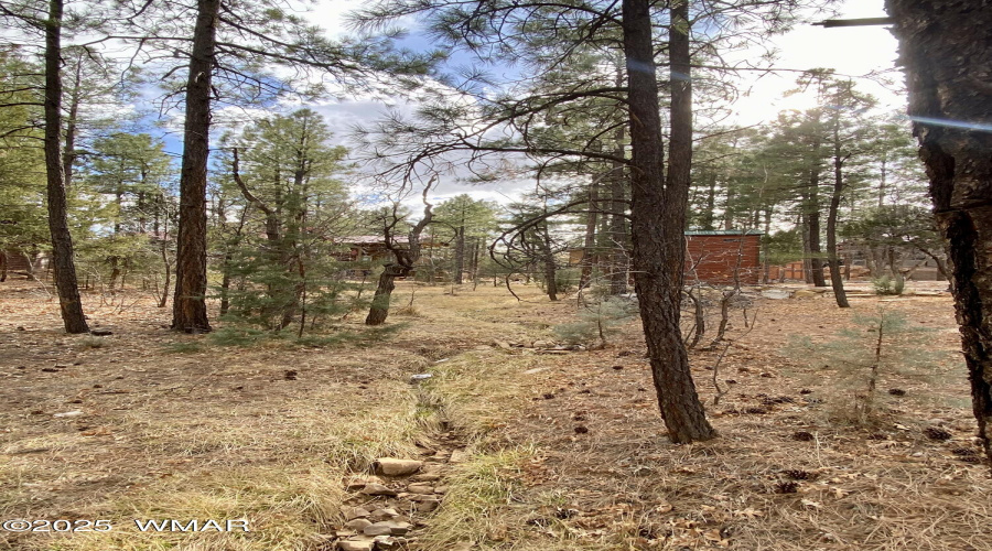 Common Area w/ Seasonal Stream