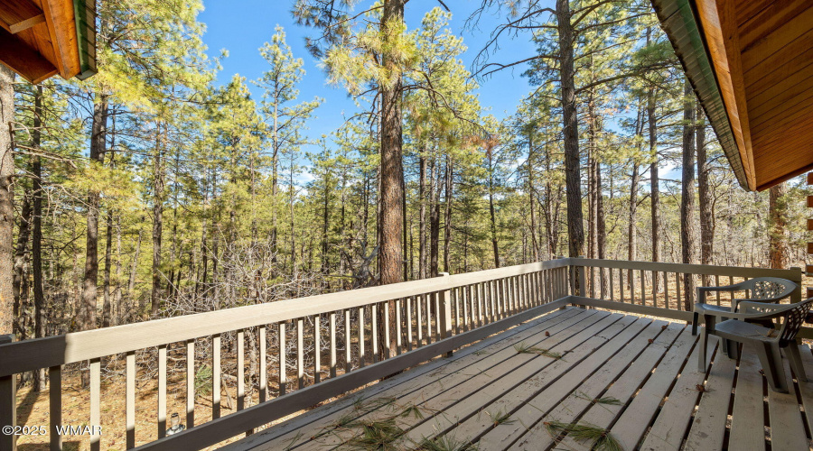 Back Deck off Primary Bedroom