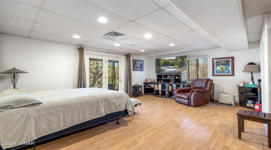 Lower level Living Room