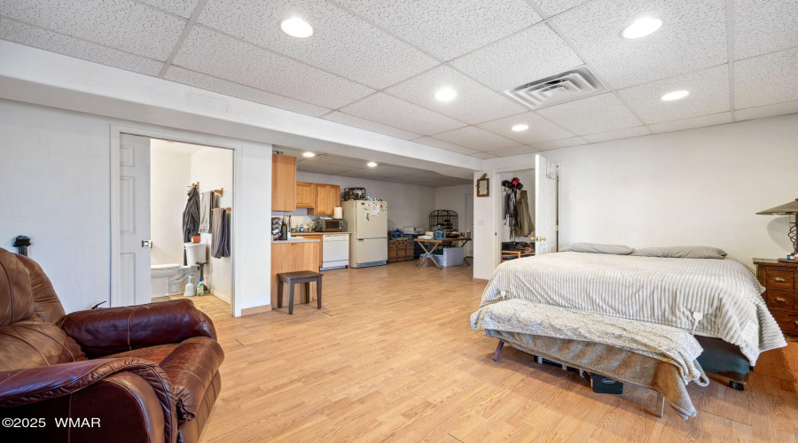 Lower level Living Room