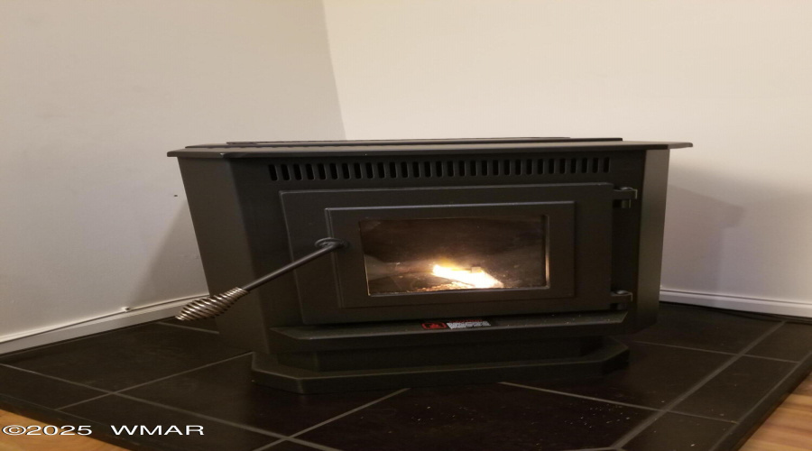 Pellet Stove