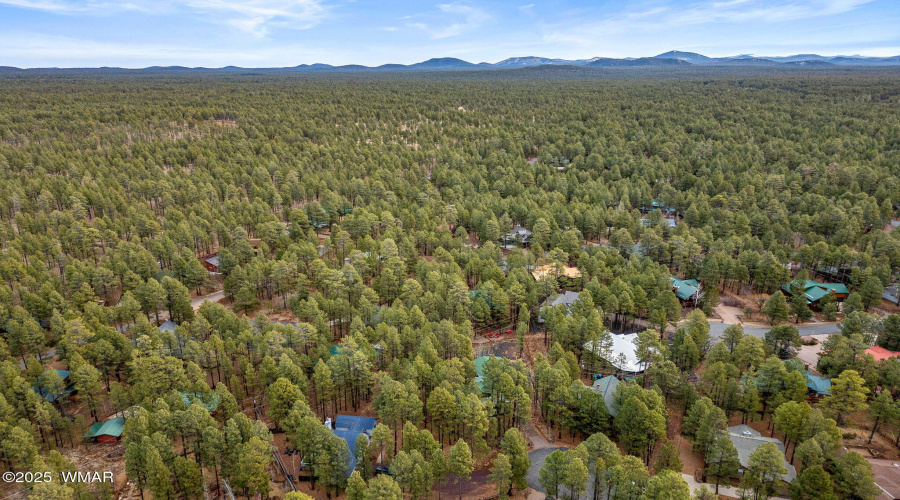 6238 Christmas Tree Cir Pinetop, AZ