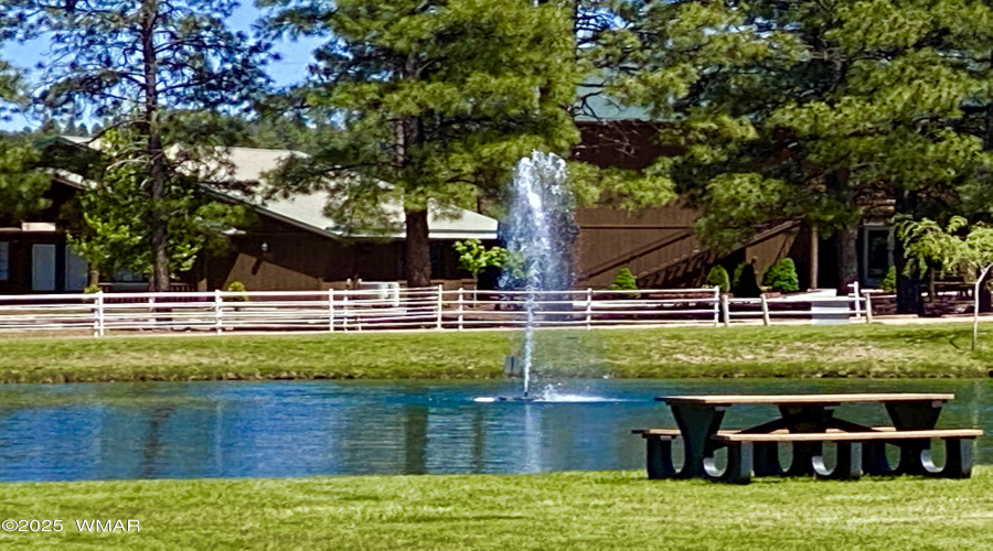 PICNIC AT THE PARK