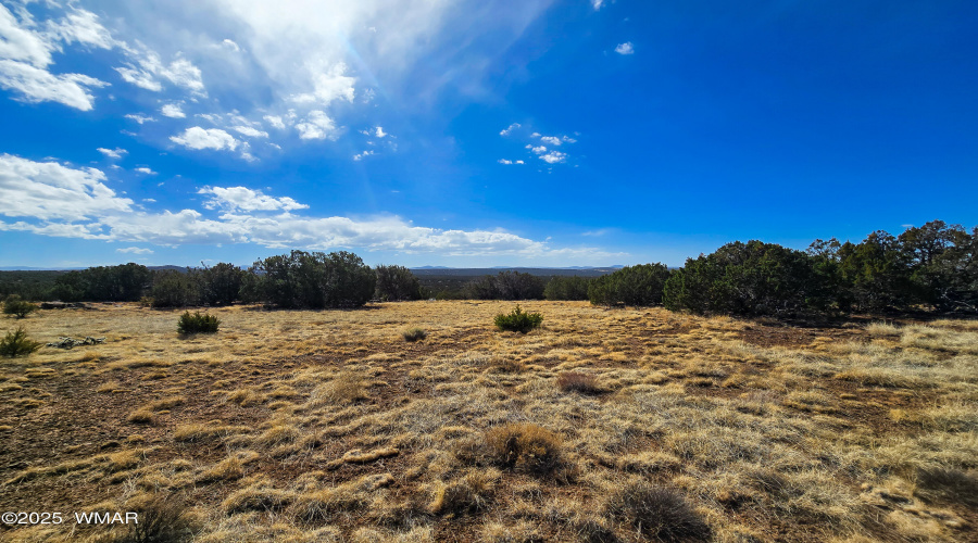 Wide Open Spaces