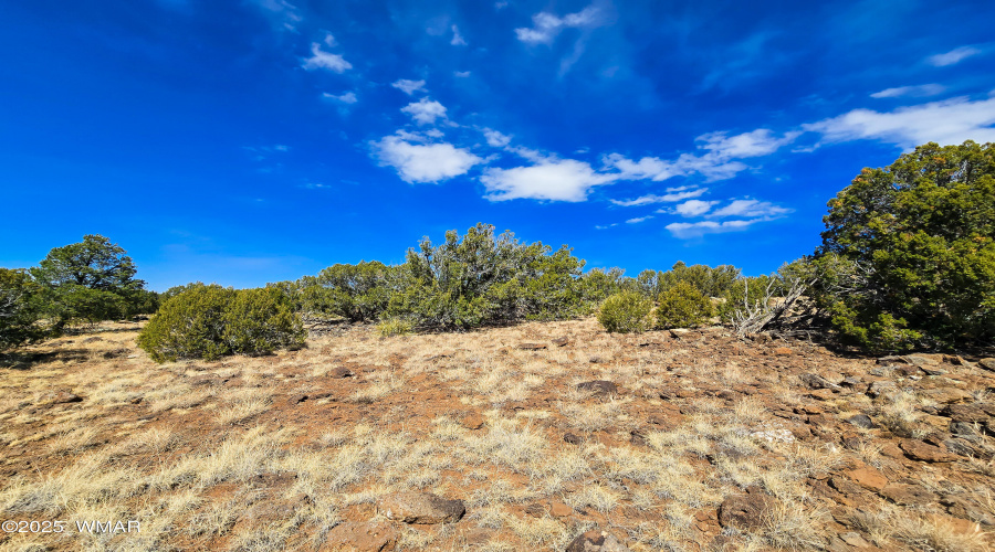 Hillside with Skyline