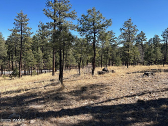 Beautifully timbered