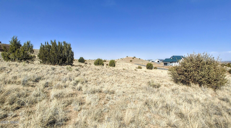 1491 W Harvest Court lot 111