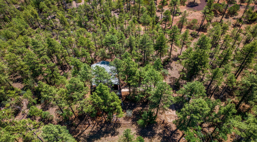 3207SWhiteMountainRd-ShowLow-AZ-29