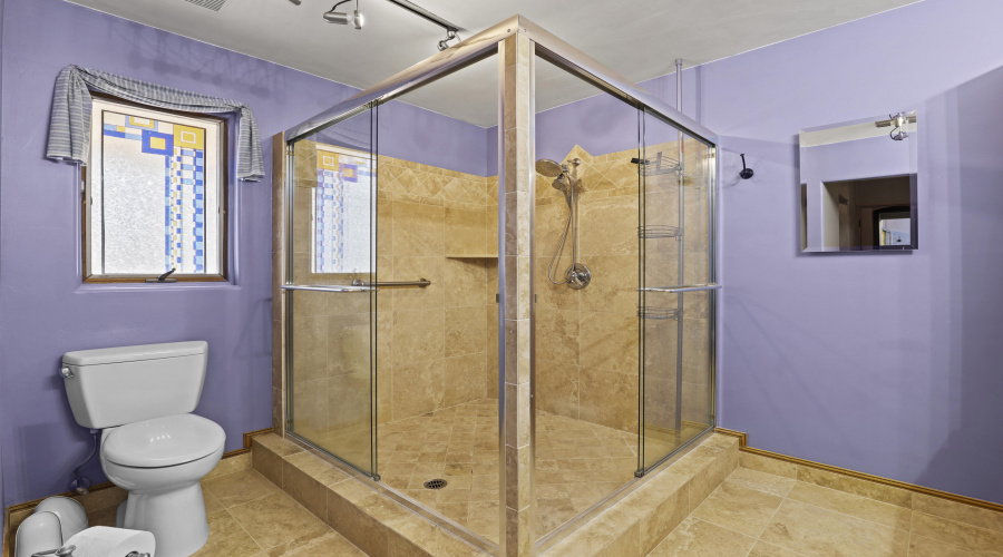 Master Bathroom Shower