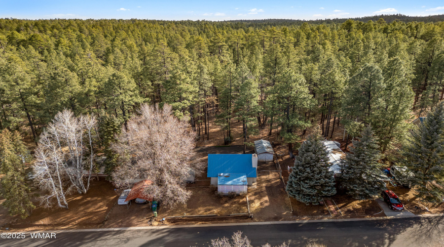 1121WhiteTailDr-ShowLow-AZ-27